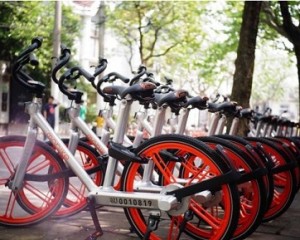 摩拜早期投資人劉二海：當(dāng)你足夠強大，自不必與巨頭為伍